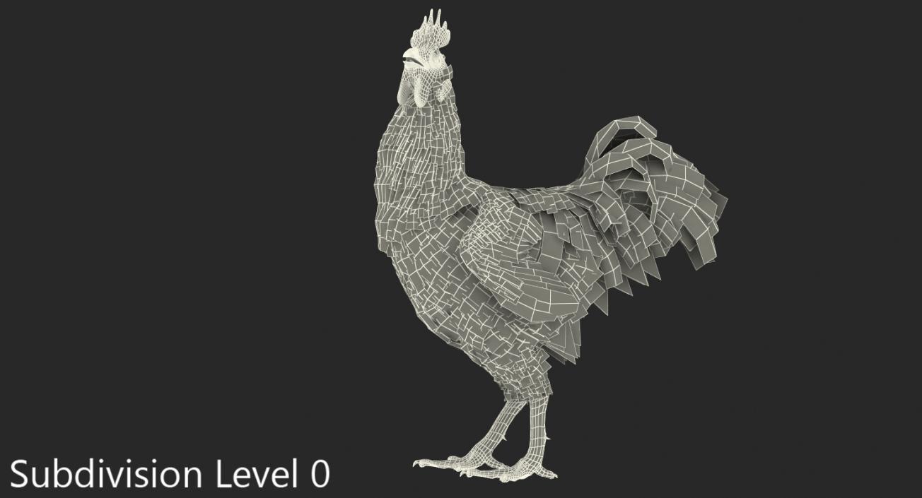 3D Brown Hen Standing model