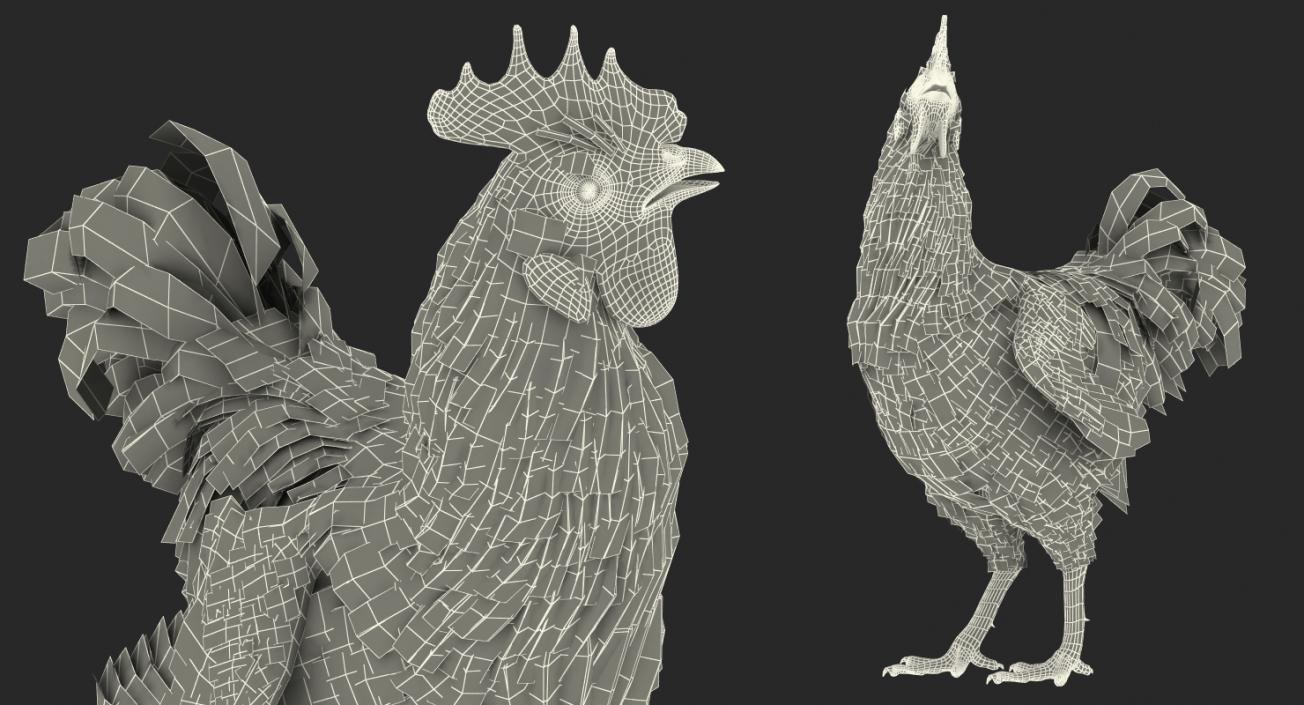 3D Brown Hen Standing model