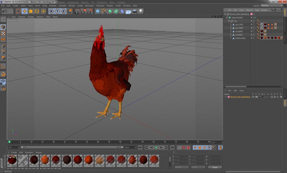 3D Brown Hen Standing model