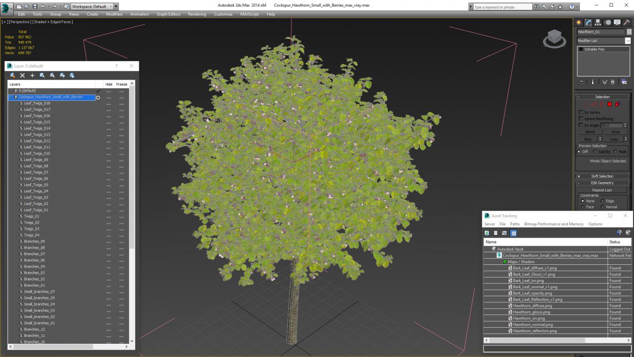 3D Cockspur Hawthorn Small with Berries