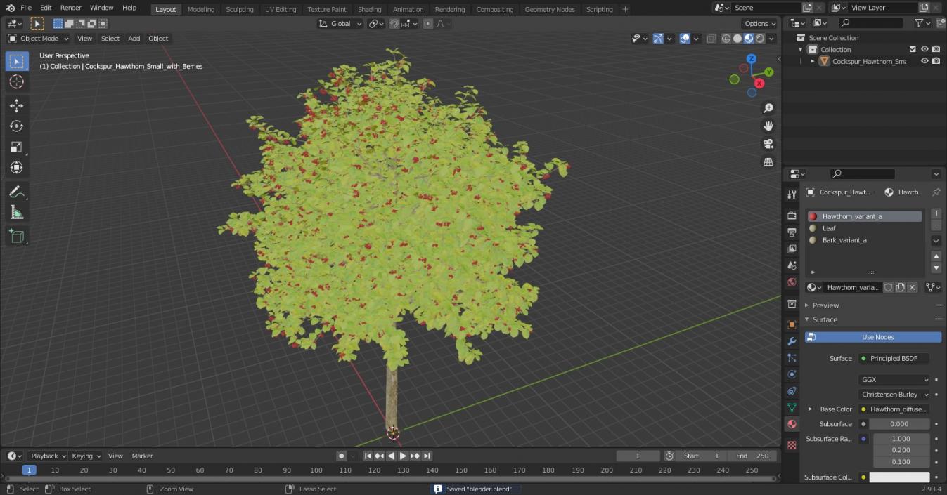 3D Cockspur Hawthorn Small with Berries