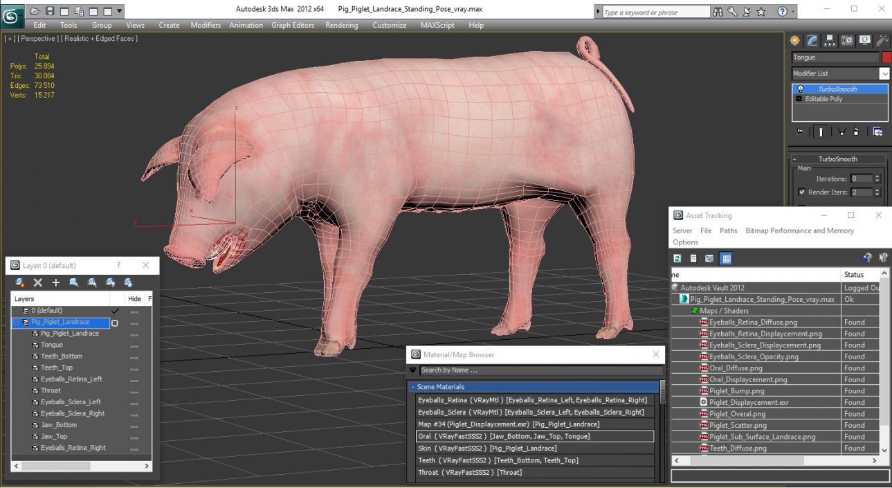 3D Pig Piglet Landrace Standing Pose model