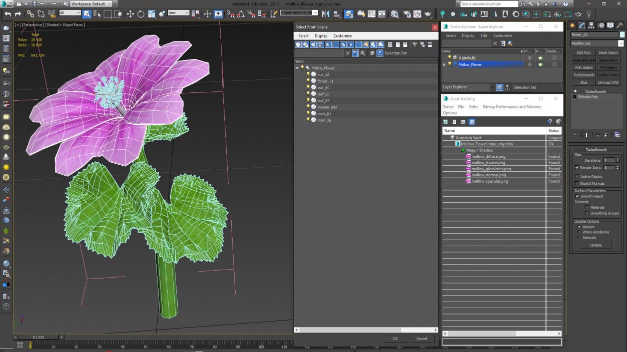 3D Mallow Flower model