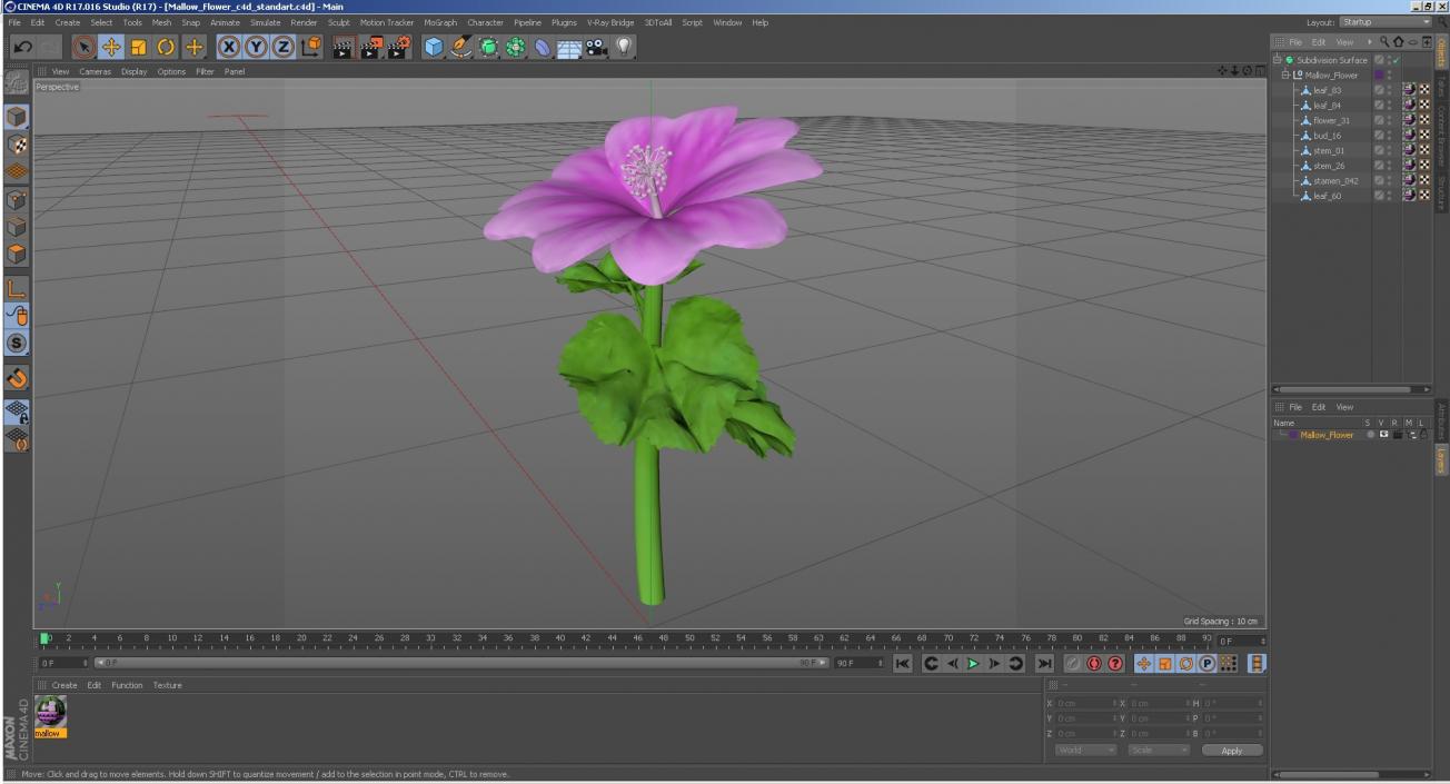 3D Mallow Flower model