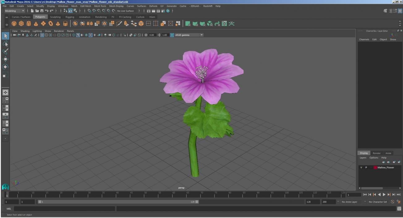 3D Mallow Flower model