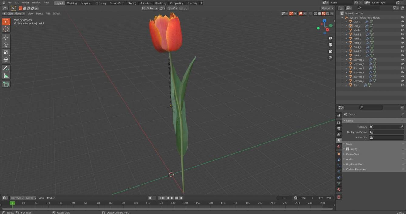 Red and Yellow Tulip Flower 3D