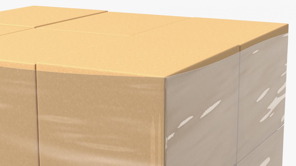 Carton Boxes Wrapped in Stretch Film(1) 3D model