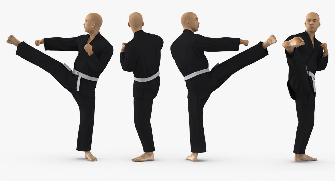 3D Japanese Karate Fighter Black Suit Rigged