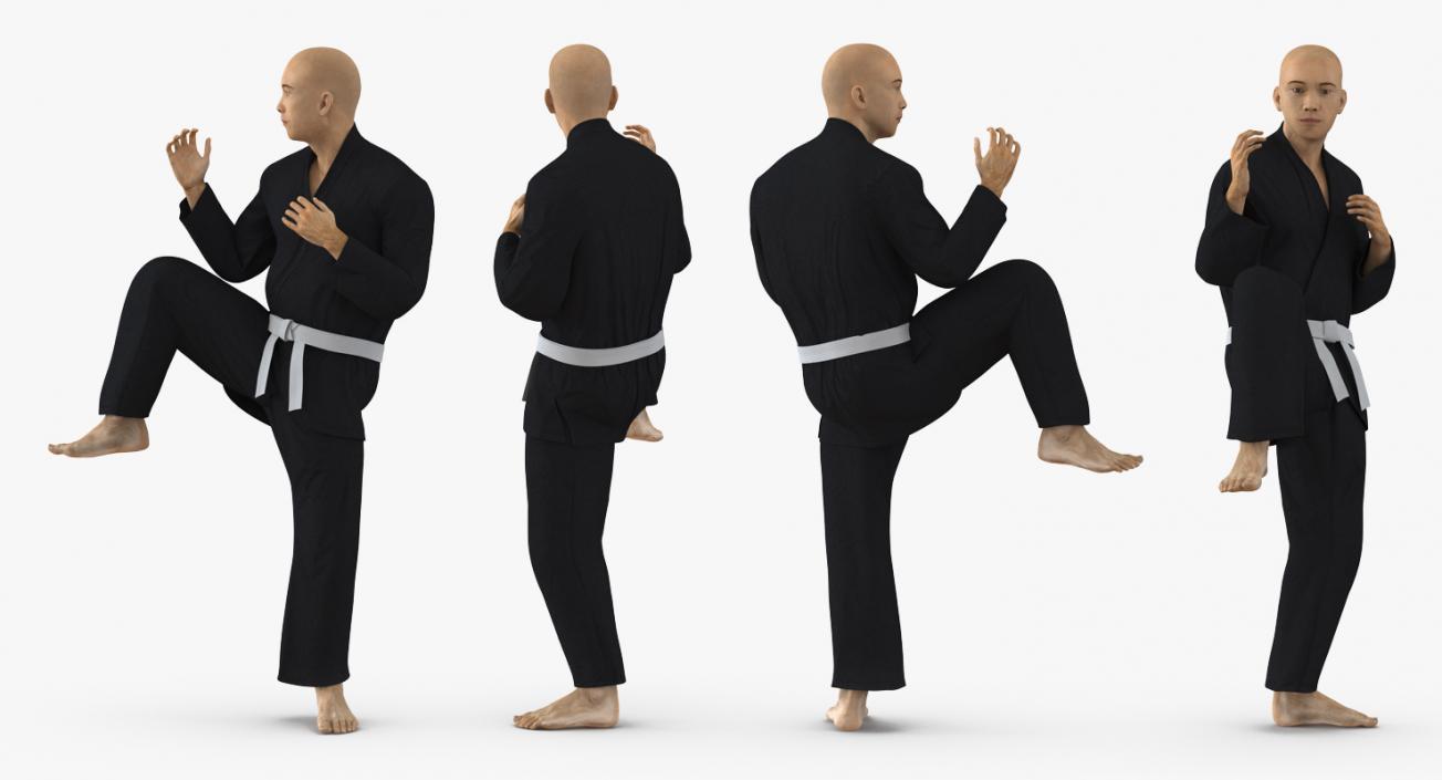 3D Japanese Karate Fighter Black Suit Rigged