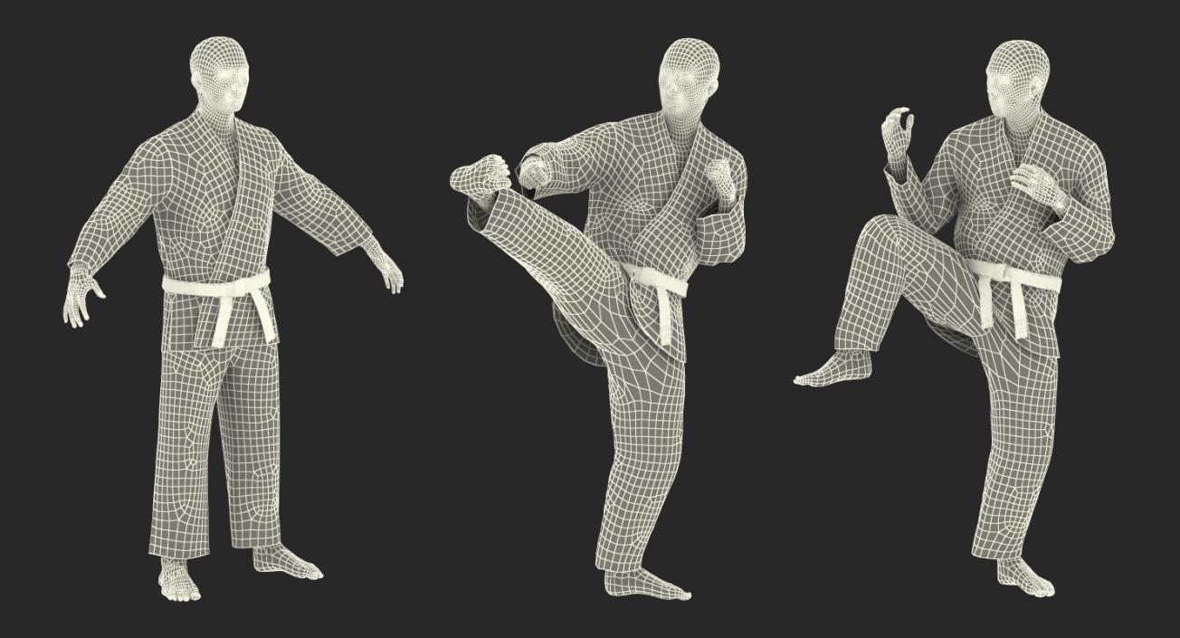 3D Japanese Karate Fighter Black Suit Rigged