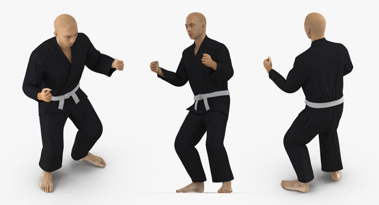 3D Japanese Karate Fighter Black Suit Rigged