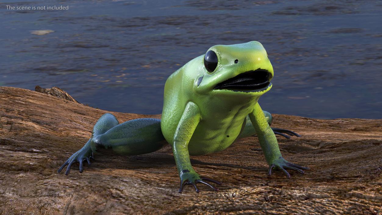 3D Green Morph Dart Frog Rigged model