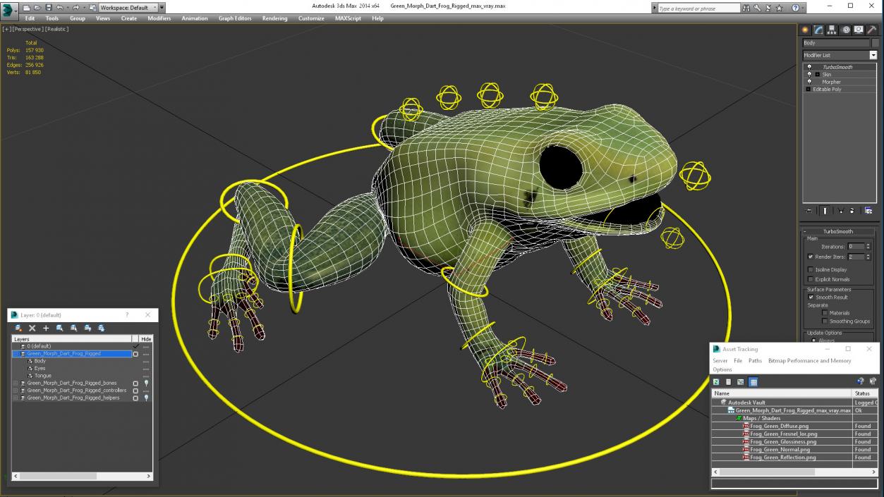 3D Green Morph Dart Frog Rigged model