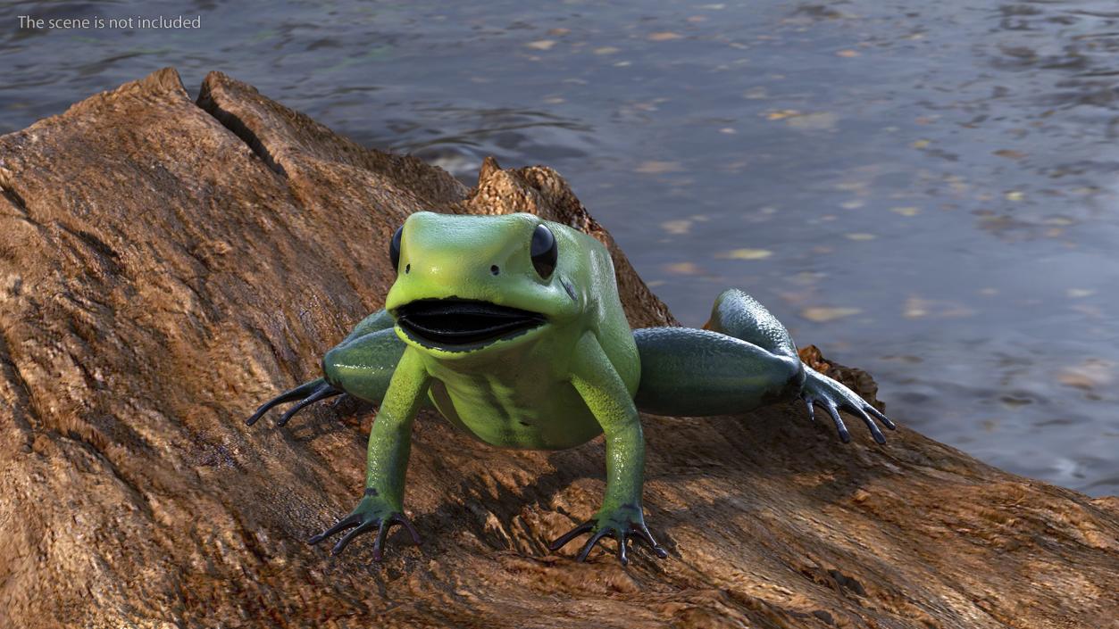 3D Green Morph Dart Frog Rigged model