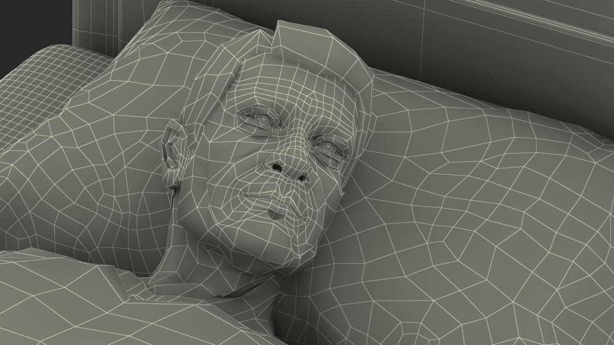 3D Patient on Hospital Bed And Doctor Rigged