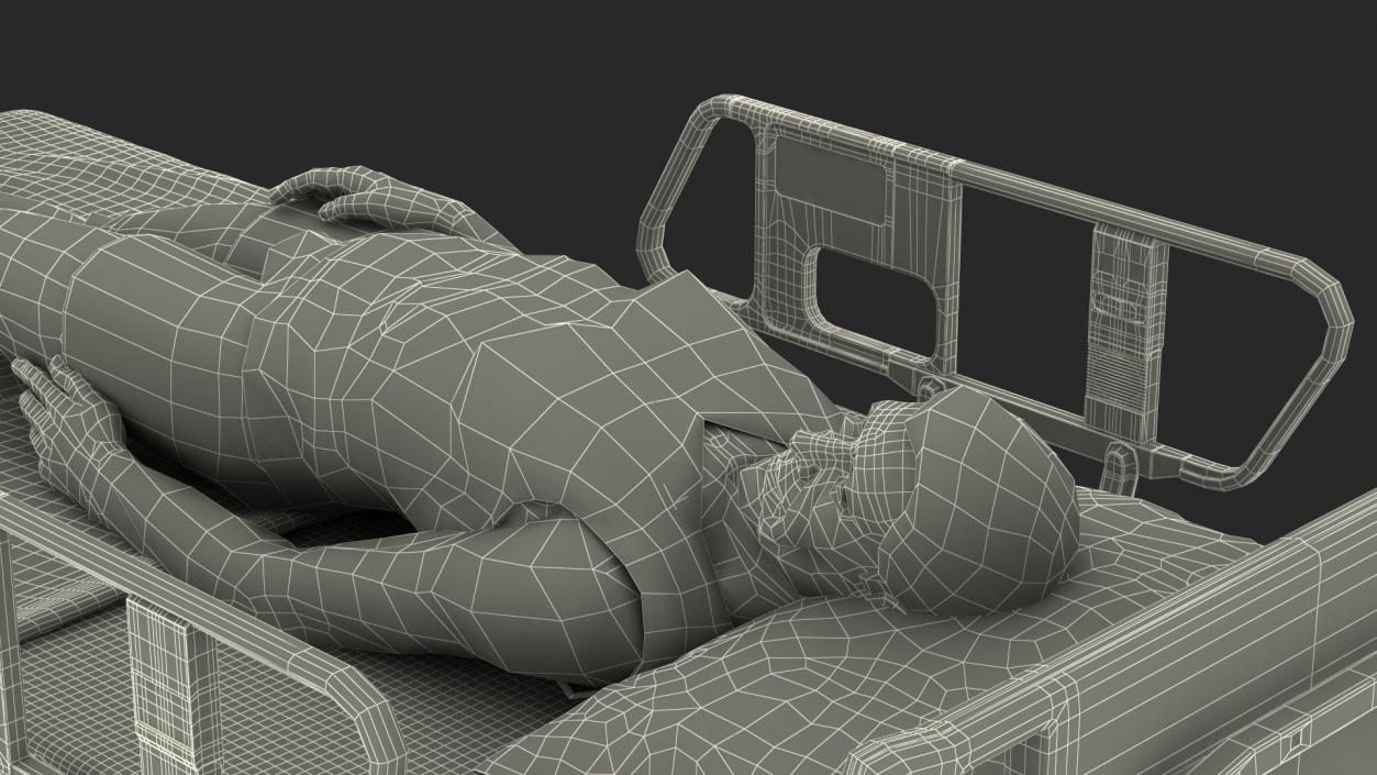 3D Patient on Hospital Bed And Doctor Rigged