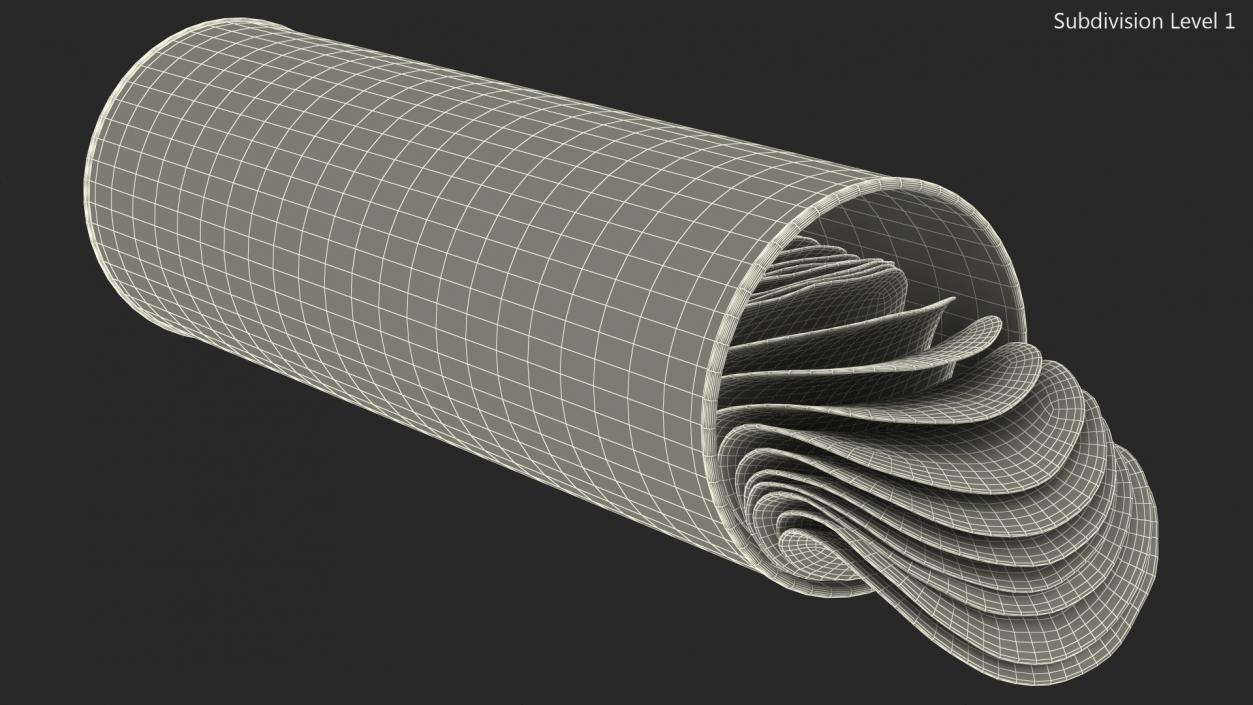 3D model Open Tube of Potato Chips