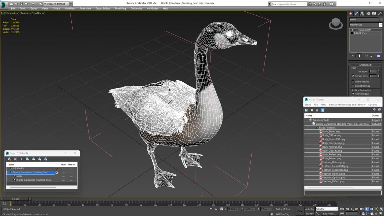 3D Branta Canadensis Standing Pose