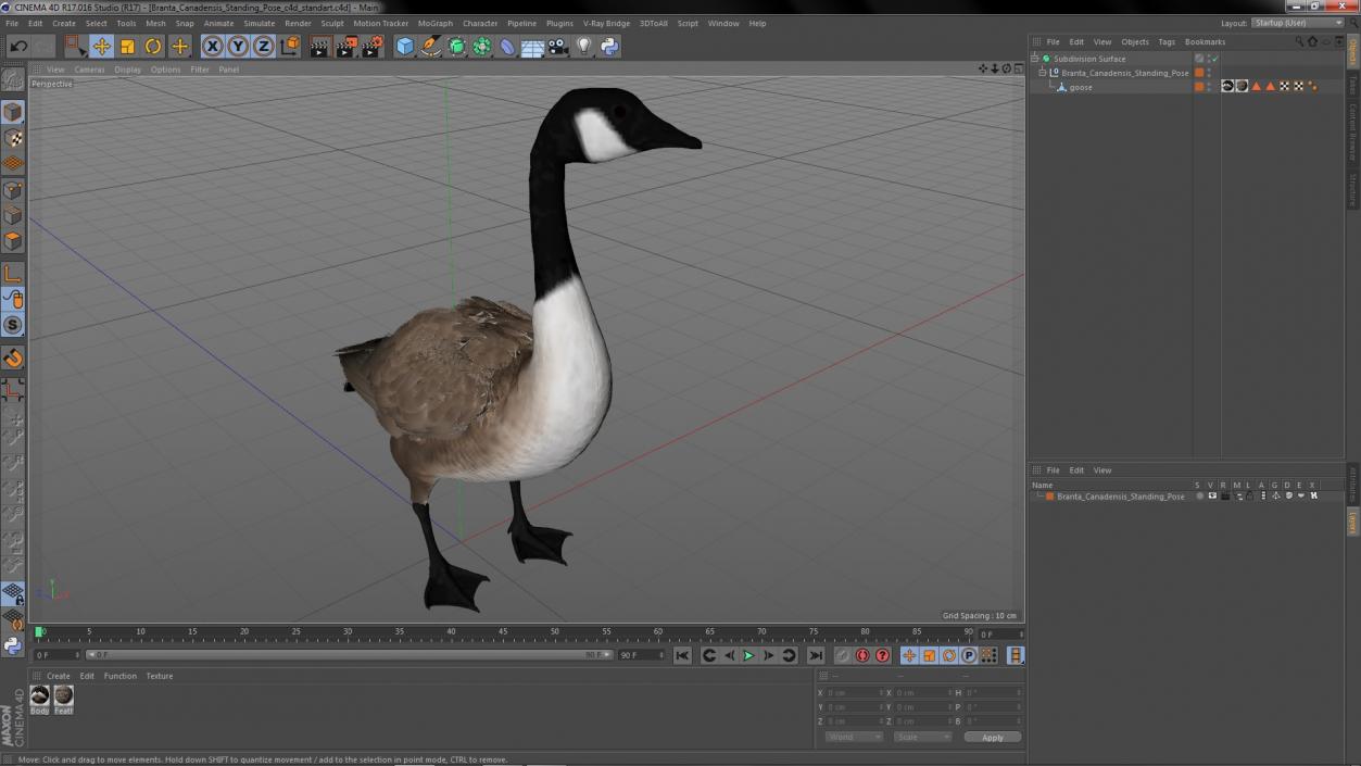 3D Branta Canadensis Standing Pose