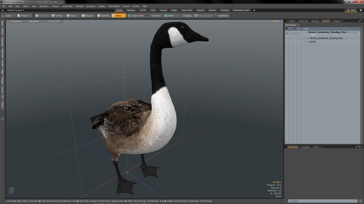 3D Branta Canadensis Standing Pose