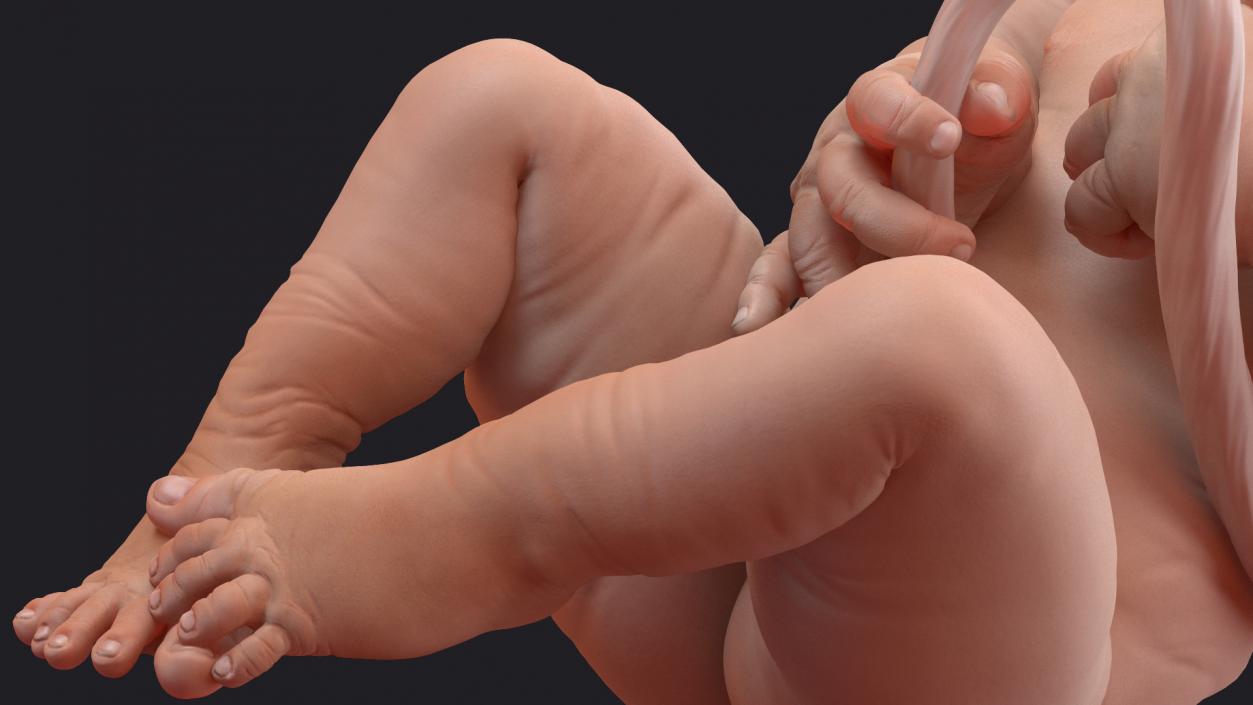 3D model Baby Boy at 38 Weeks