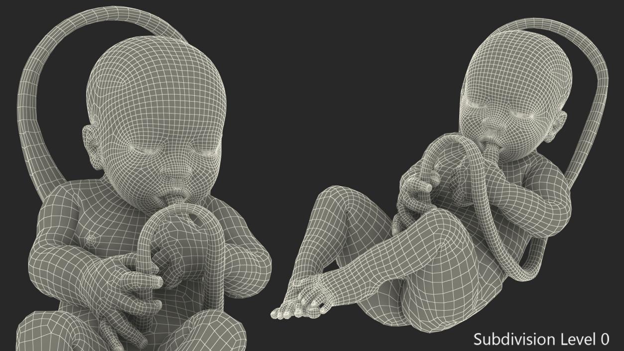 3D model Baby Boy at 38 Weeks