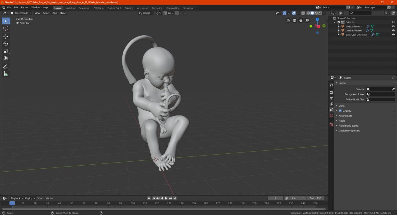 3D model Baby Boy at 38 Weeks