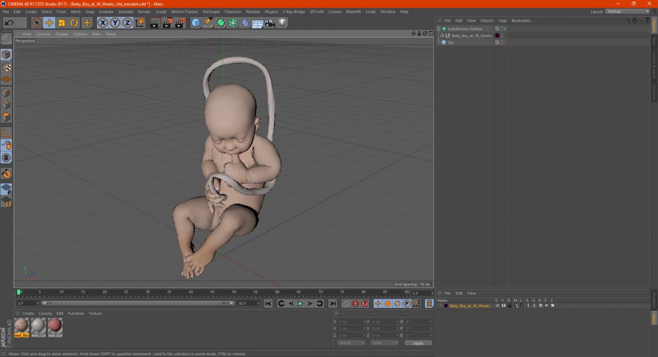 3D model Baby Boy at 38 Weeks