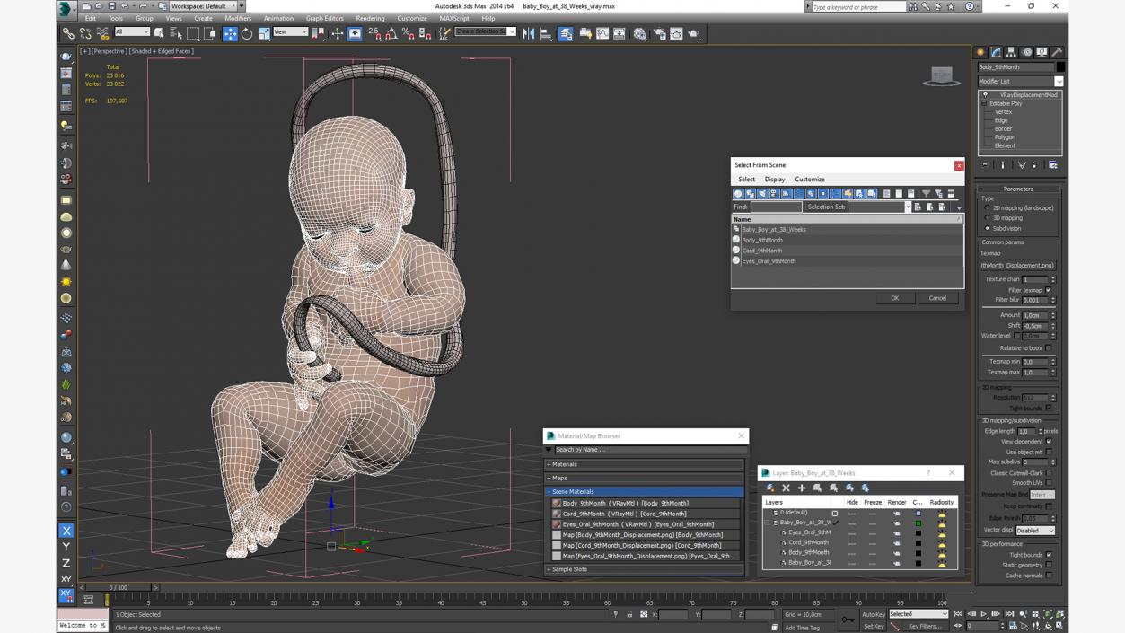 3D model Baby Boy at 38 Weeks