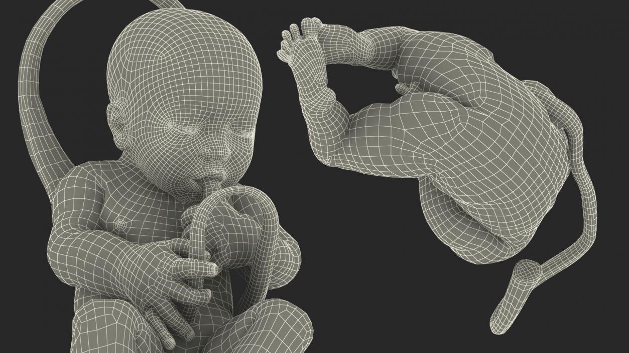 3D model Baby Boy at 38 Weeks