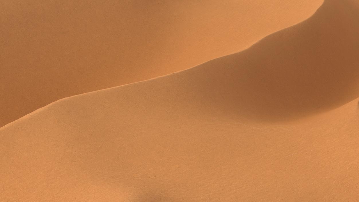 3D Desert Sahara model