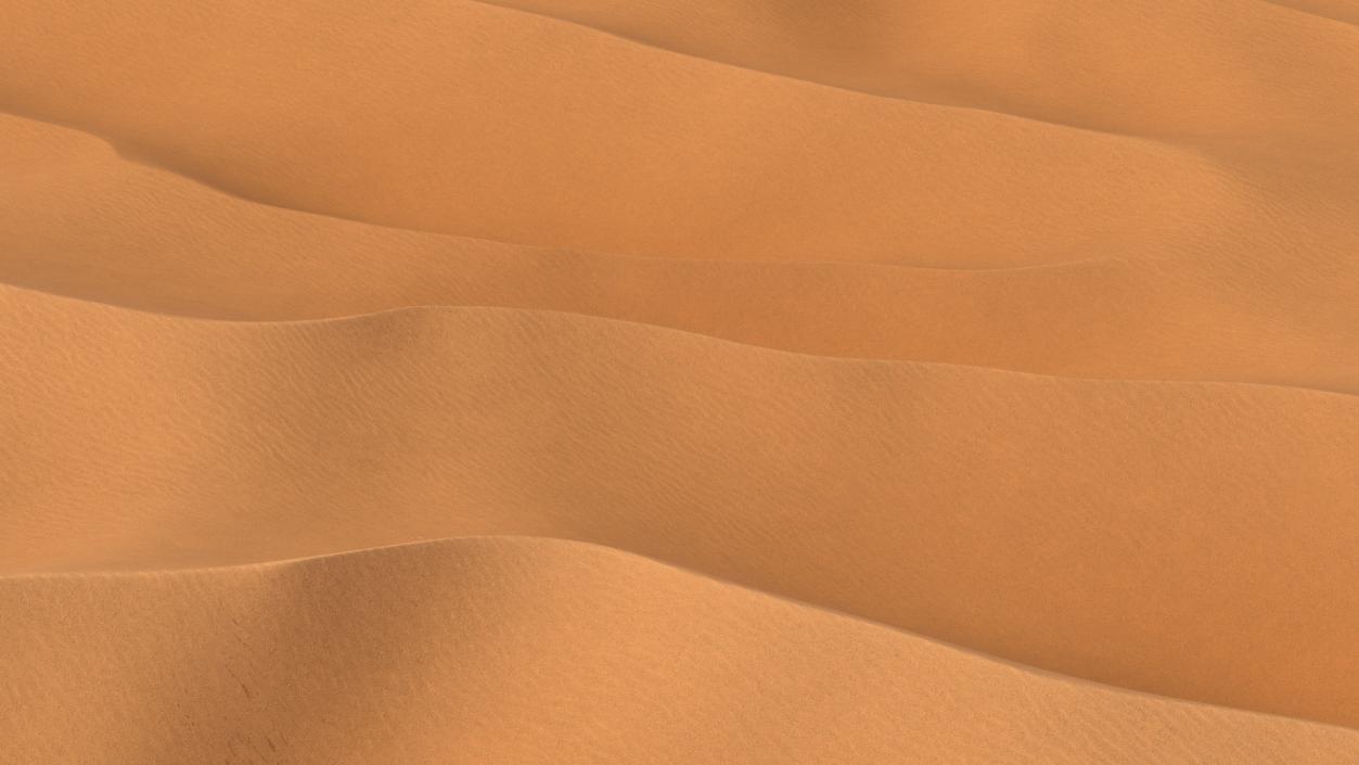 3D Desert Sahara model