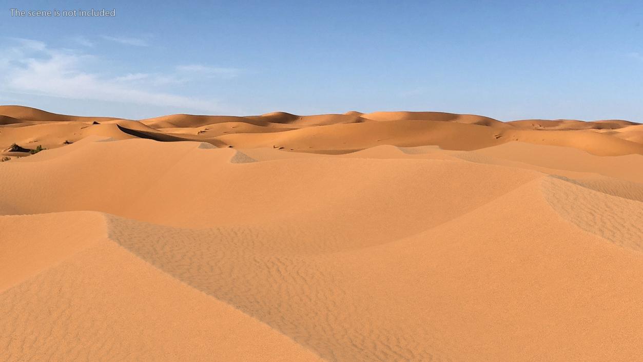 3D Desert Sahara model