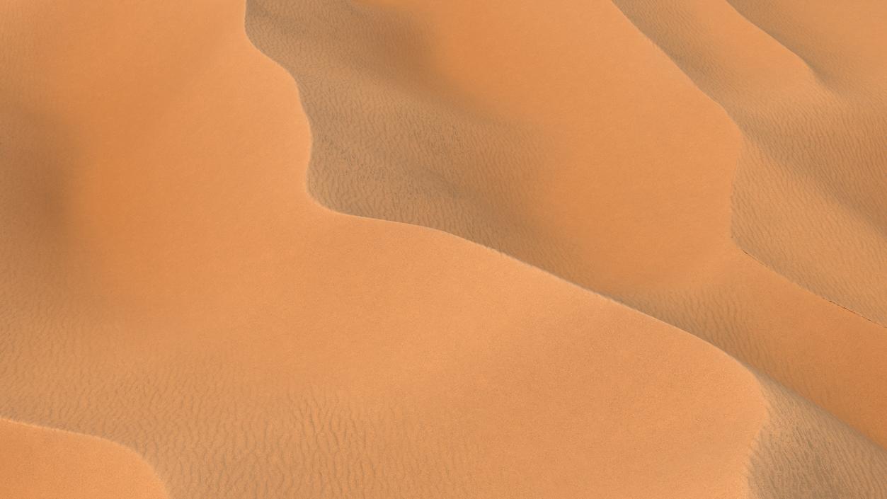 3D Desert Sahara model