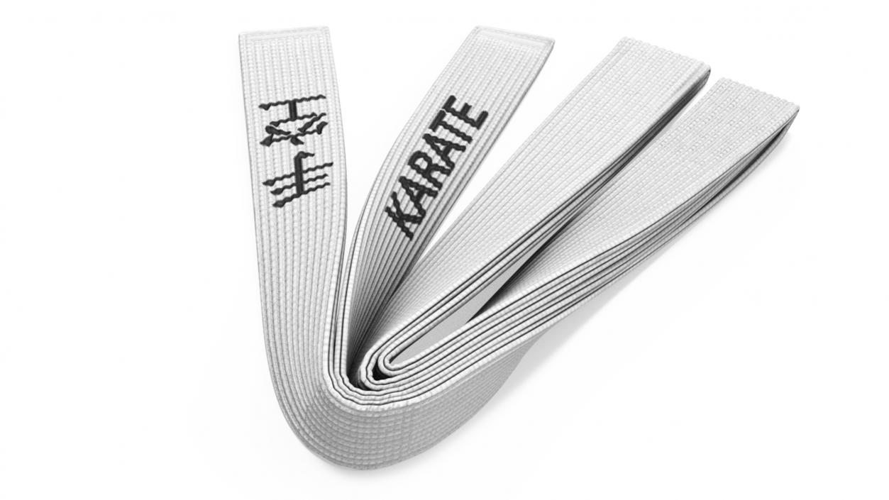 3D Karate White Belt Obi