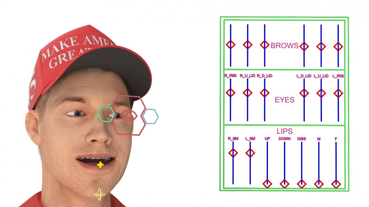 3D Delivery Man Wearing Donald Trump Cap Fur Rigged model