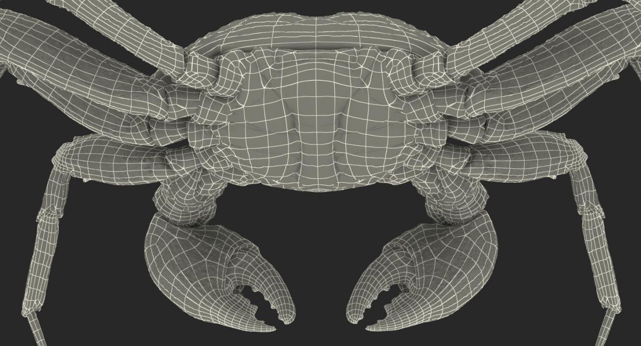 Vampire Crab Geosesarma with Fur 3D