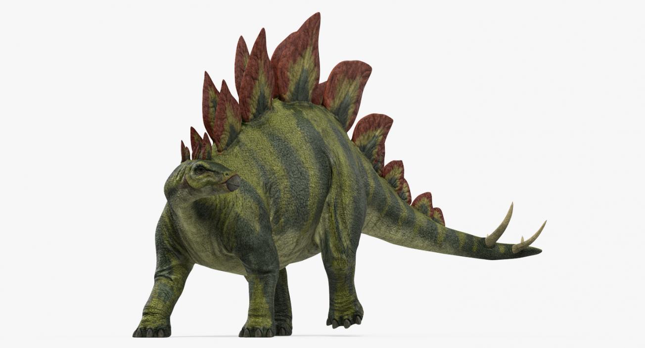 3D model Stegosaurus Standing Pose