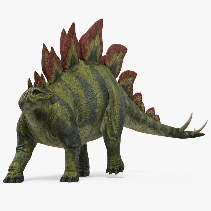 3D model Stegosaurus Standing Pose