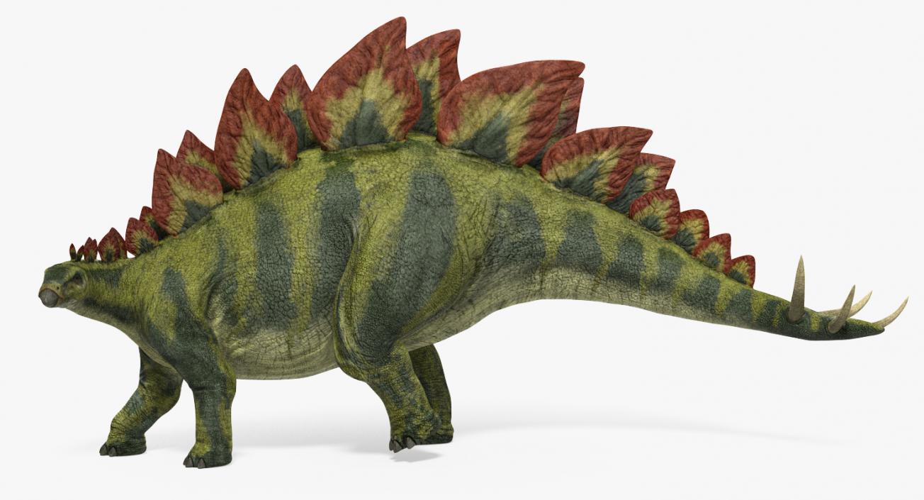 3D model Stegosaurus Standing Pose