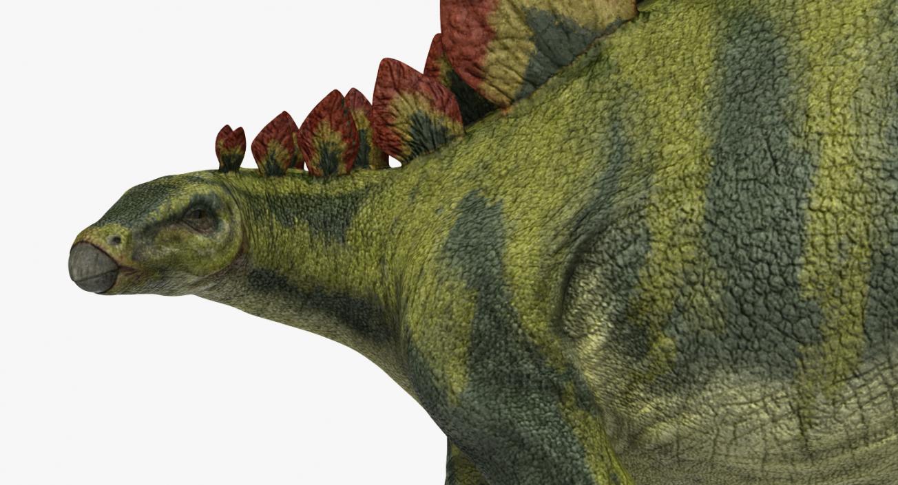 3D model Stegosaurus Standing Pose