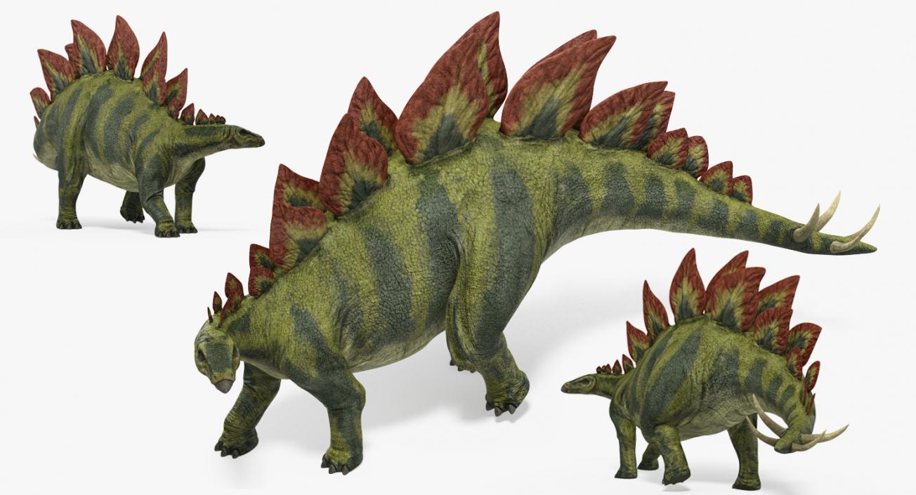 3D model Stegosaurus Standing Pose