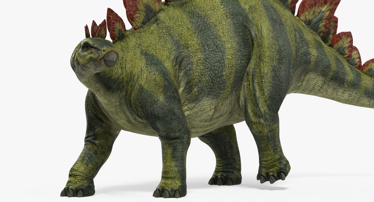 3D model Stegosaurus Standing Pose