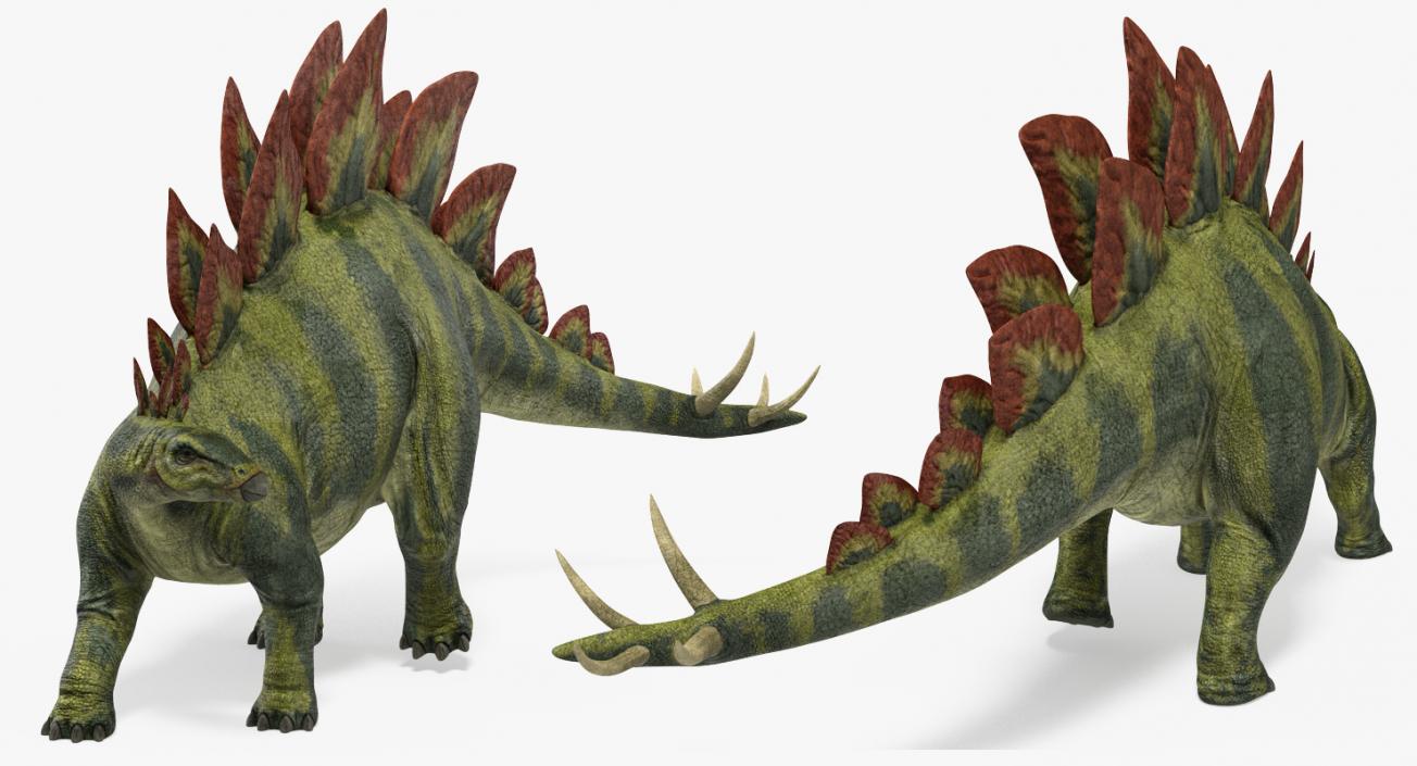 3D model Stegosaurus Standing Pose