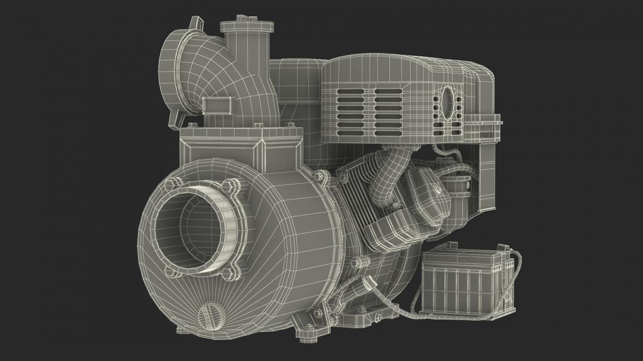 Water Transfer Pump 3D model