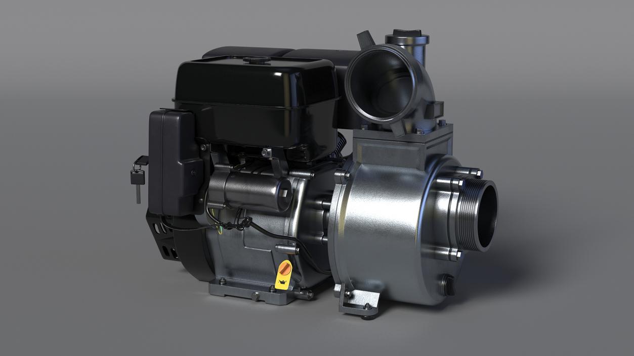 Water Transfer Pump 3D model