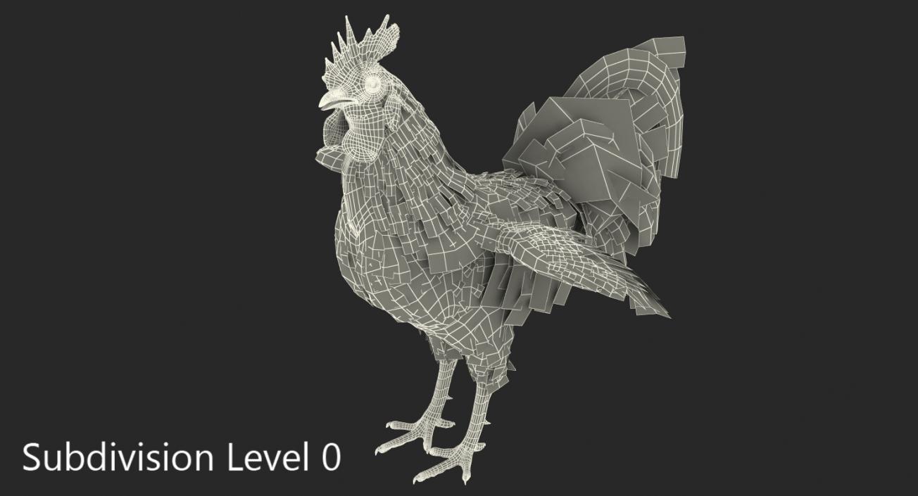 Rooster Rigged 3D model