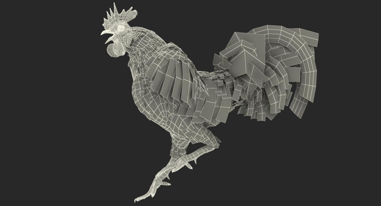 Rooster Rigged 3D model