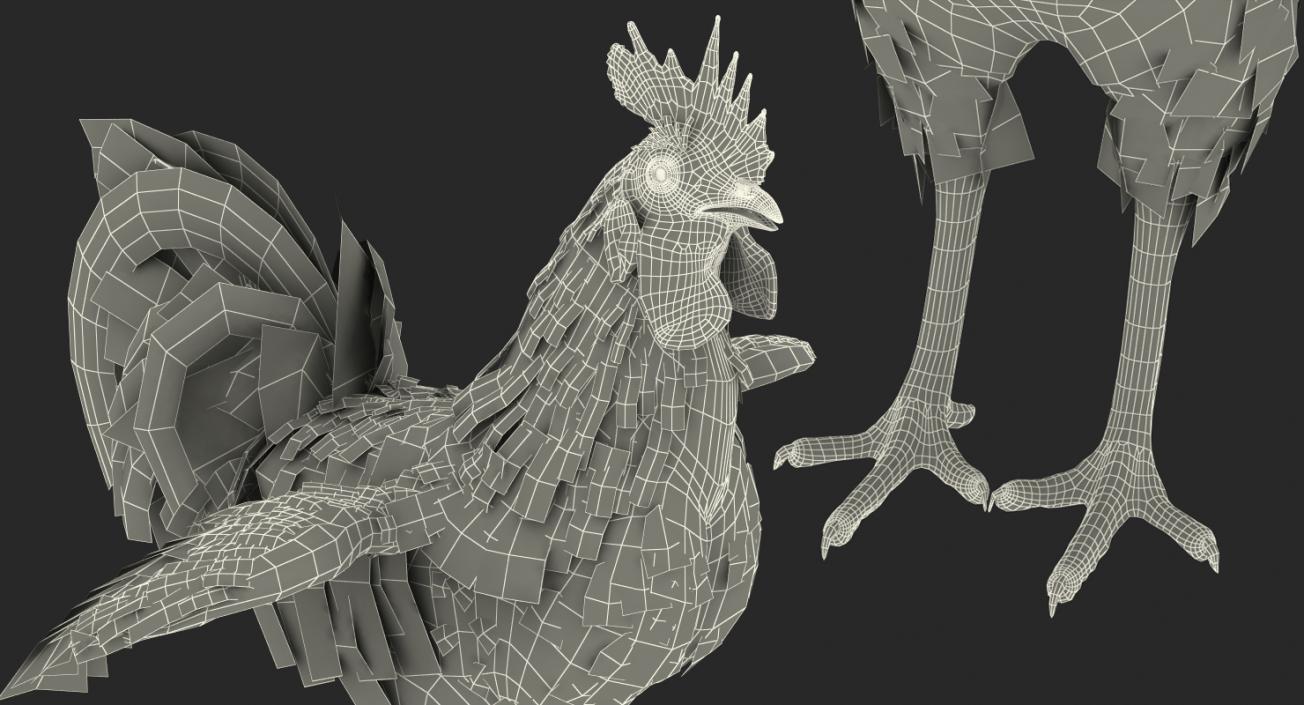 Rooster Rigged 3D model