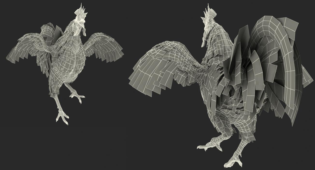 Rooster Rigged 3D model